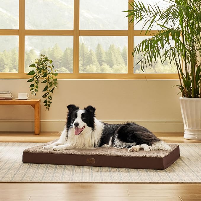 Bedsure Dog Beds Large Sized Dog - Image 7
