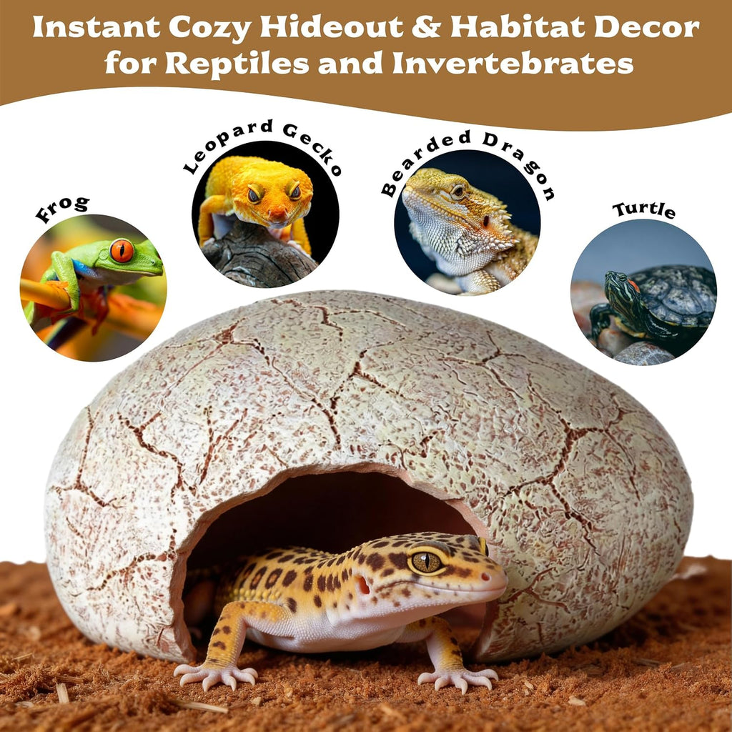 Small Dinosaur Egg Reptile Hide for Leopard Gecko - GlobalHabitat Supply