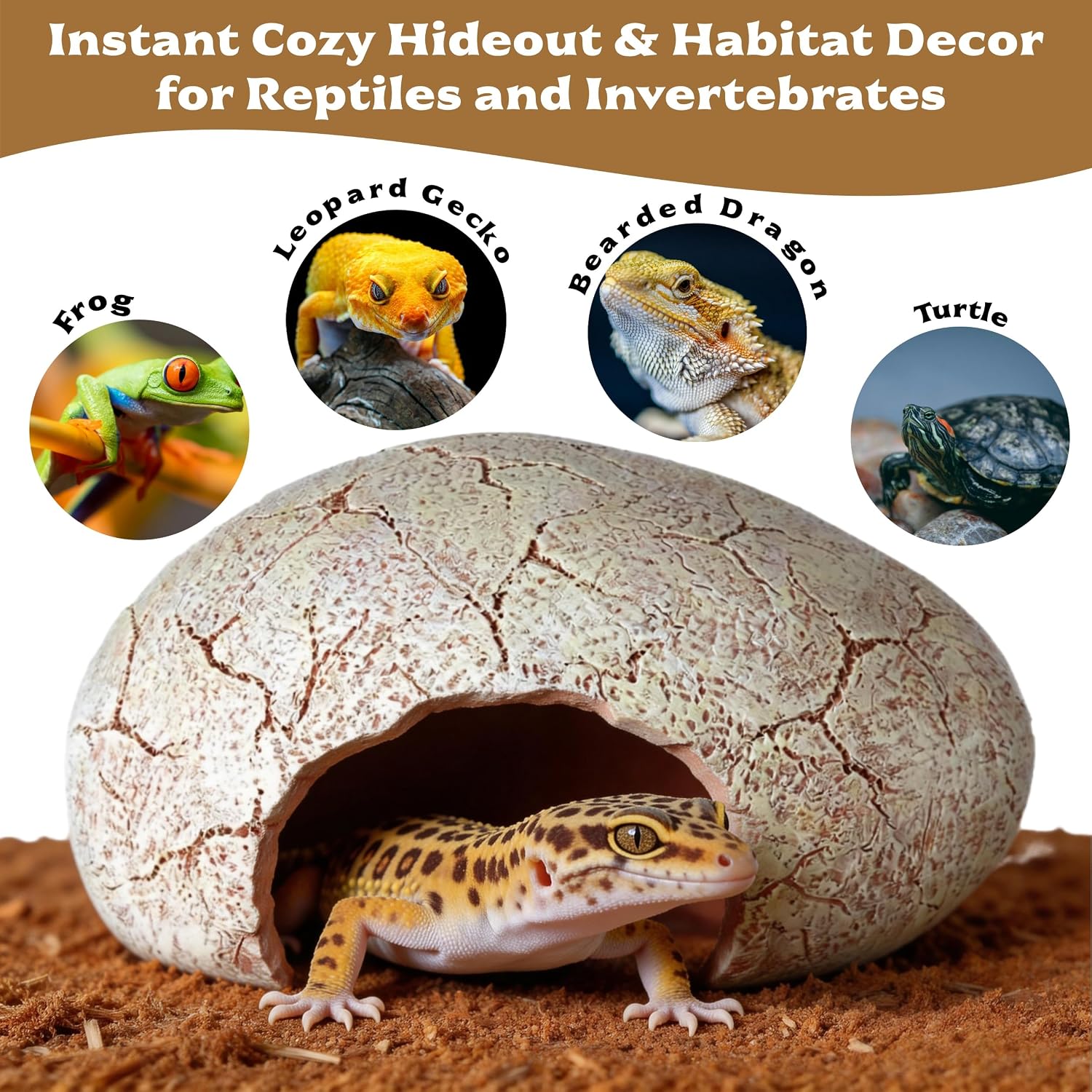 Small Dinosaur Egg Reptile Hide for Leopard Gecko - GlobalHabitat Supply