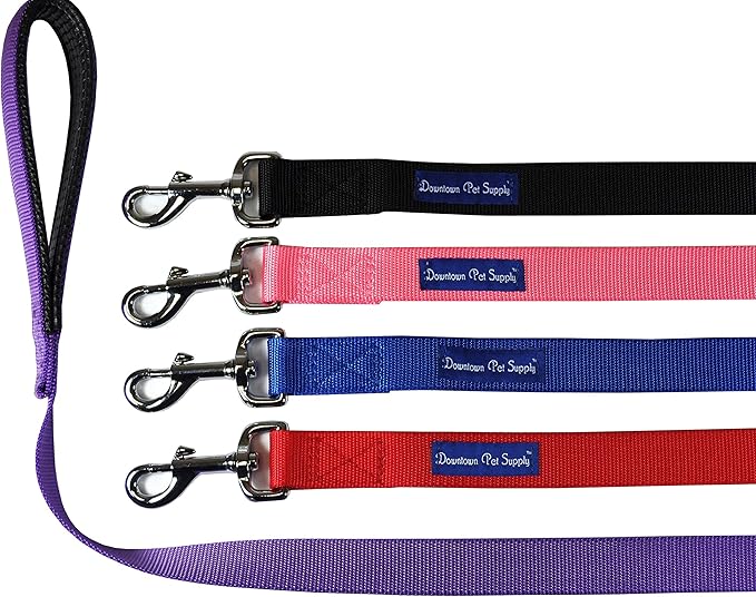 Downtown Pet Supply 6ft Dog Leash - Image 2