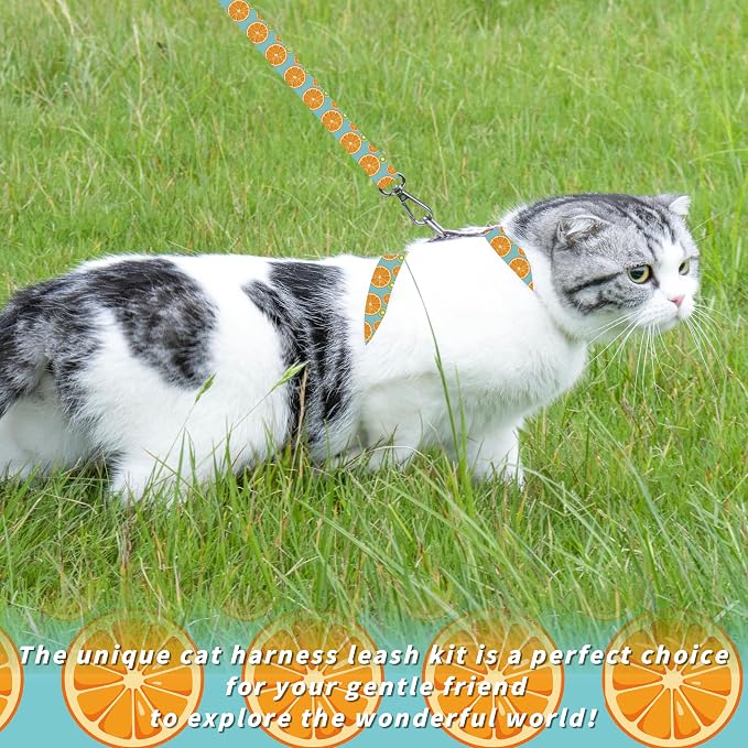 Cat Harness and Leash Set, Adjustable Kitten Harness Escape Proof Cats Harness - Image 2