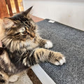 Shaidy Cat Scratching Mat 24x15 Inches by Unknown