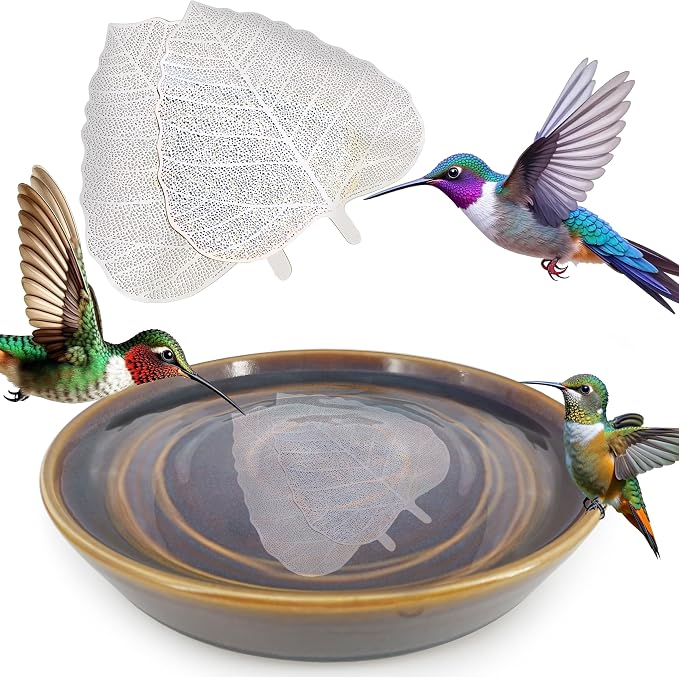 RONDURE 2 pcs Bird Bath Purification Disk 4 Inch Bird Bath Water Cleaner Disk - Image 4