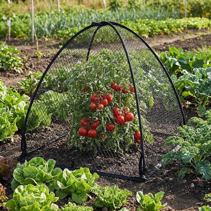 DECOHS 2 Pcs Pop-Up Mesh Plant Cover Tent, Plant Protector Enclosure - Image 6
