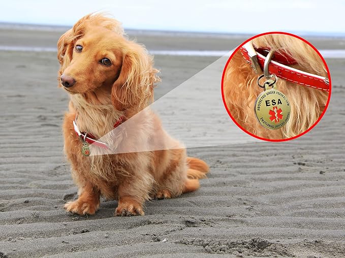Double Sided Small Breed Emotional Support Animal ESA Tag Red Medical Alert - Image 4