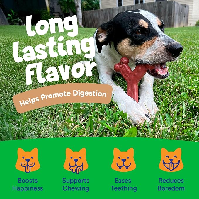 Chew'ems Durable Chewy Dog Toys | Long-Lasting & Flavorful Chew Dog Toys - Image 4