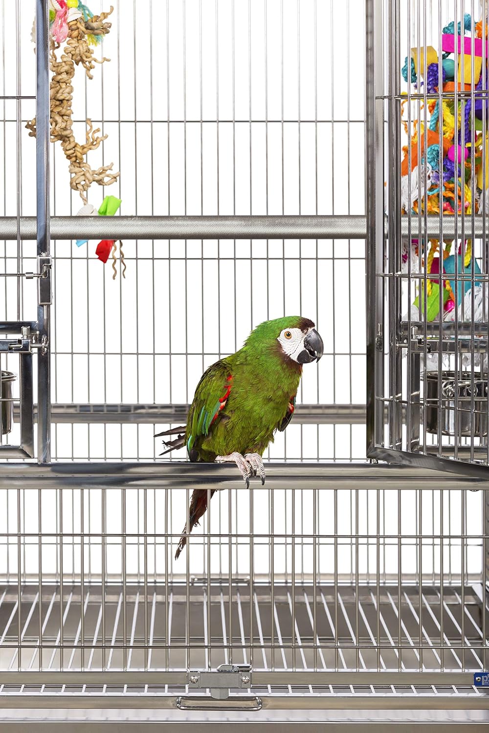 Prevue Pet Products Stainless Steel Playtop Bird Cage, Silver - GlobalHabitat Supply