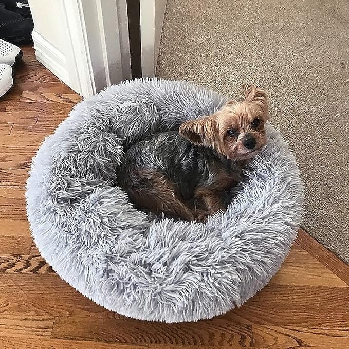 Calming Donut Dogs Beds for Small Dogs Washable, 19inch Fluffy Round Puppy Bed by nononfish