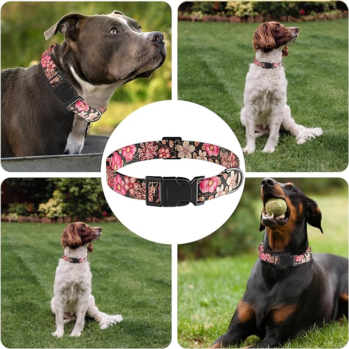 Dog Collar for Boys & Girls, Puppy Collar for Small to Large Dogs, Adjustable - Image 6