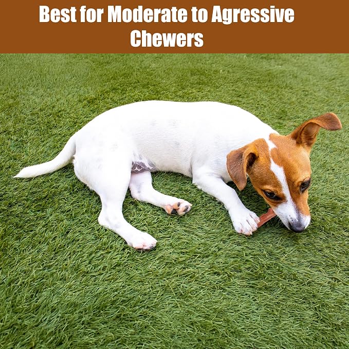 SPOT Bam-Bones Plus Branch -Bamboo Fiber & Nylon, Durable Long Lasting Dog Chew - Image 9