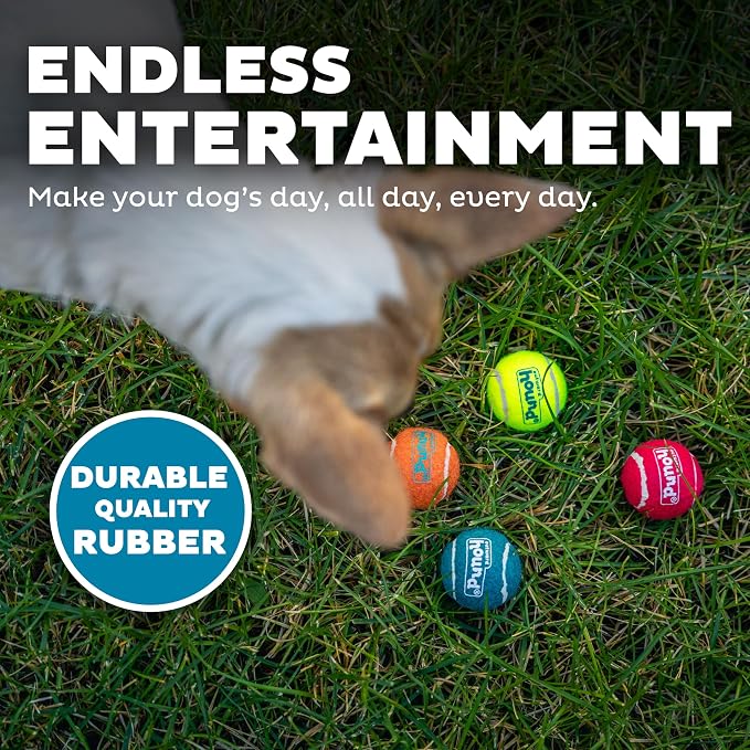 Outward Hound Squeaker Ballz – Squeaky Tennis Balls - Image 5