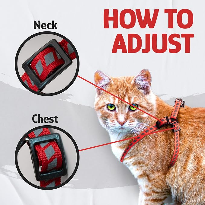Filbert Cat Harness and Leash Set - Image 4