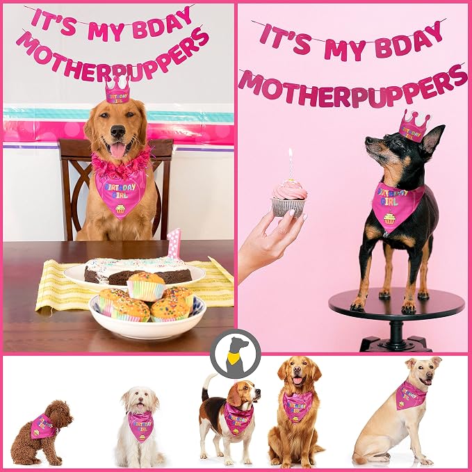 Dog Birthday Party Supplies - Image 3