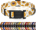 Dog Collar, Floral Boys Girls Puppy Collar by Seyezo