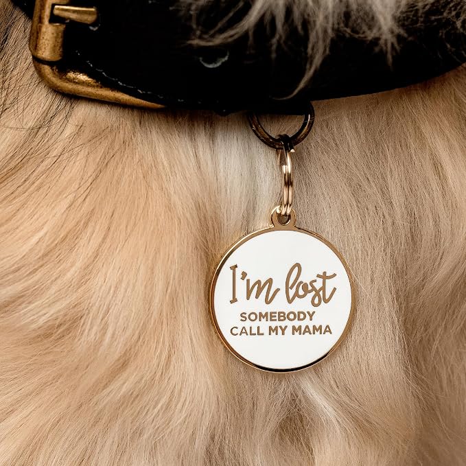 Two Tails Pet Company Dog Tags Personalized “I'm Lost, Somebody Call My Mama” - Image 7