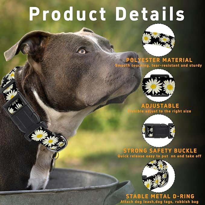 Dog Collar, Daisy Boys Girls Puppy Collar - Image 2