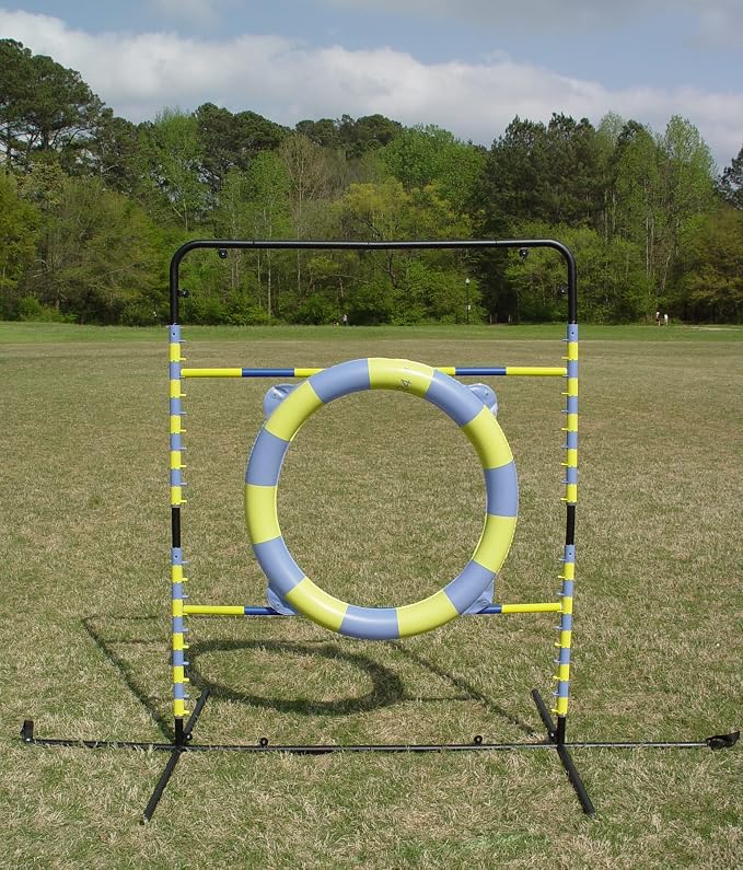 Agility Tire Jump - Image 9