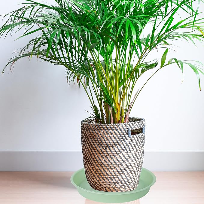 6 Pack of 12 inch Plant Saucer, Heavy Duty Plastic Plant Saucer 12" Round - Image 3