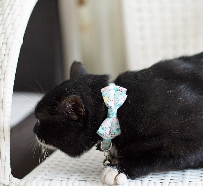 Collar for Cat Pet Breakaway - Image 5