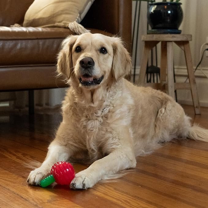 Outward Hound Gummiez Cherries Dog Toy & Treat Stuffer, 4″ x 4″ Cherry-Scent - Image 8