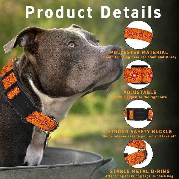 Dog Collar, Classical Indian Spirit Boys Girls Puppy Collar