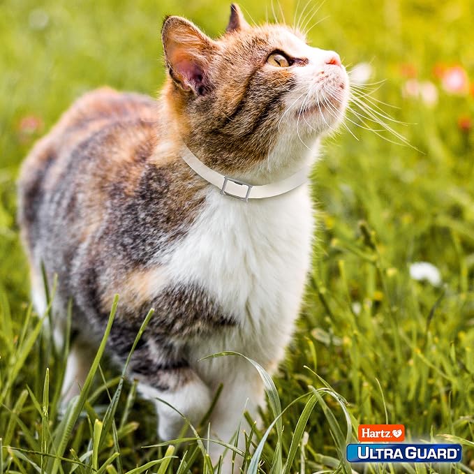 Hartz UltraGuard Flea & Tick Collar - Image 8