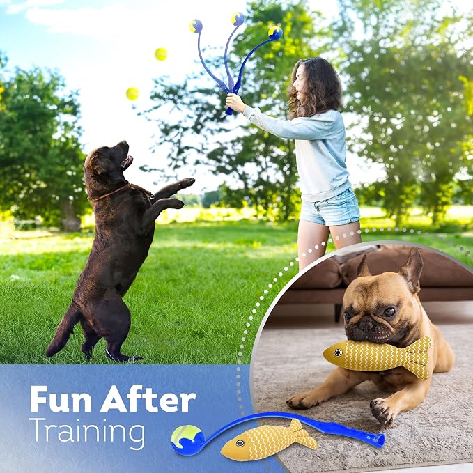 Dog Agility Course Backyard Set, Including Dog Tunnel Bags - Image 4