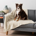 PetAmi Fluffy Waterproof Dog Blanket by PetAmi