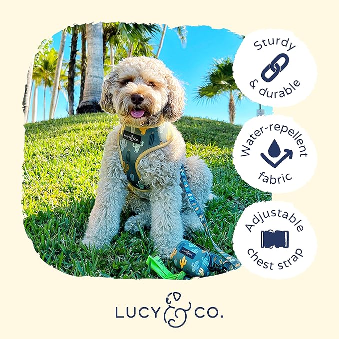 Lucy & Co. Looking Sharp, Cute Reversible Dog Harness Walking Halter - Image 4