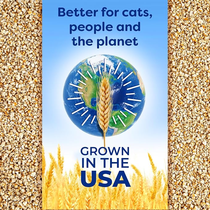 sWheat Scoop Natural Wheat Multi-Cat Litter, Superior Clumping - Image 8