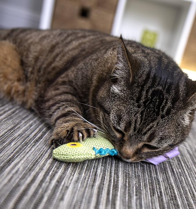 Petlinks HappyNip Crinkle Chameleon Cat Toy, Contains Silvervine & Catnip - Image 4