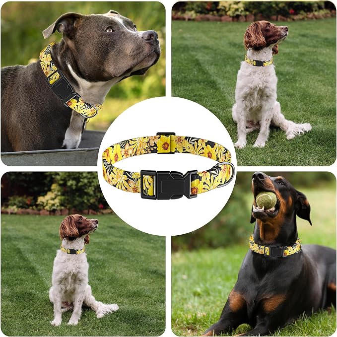 Puppy Collar for Small, Large Dogs - Image 6