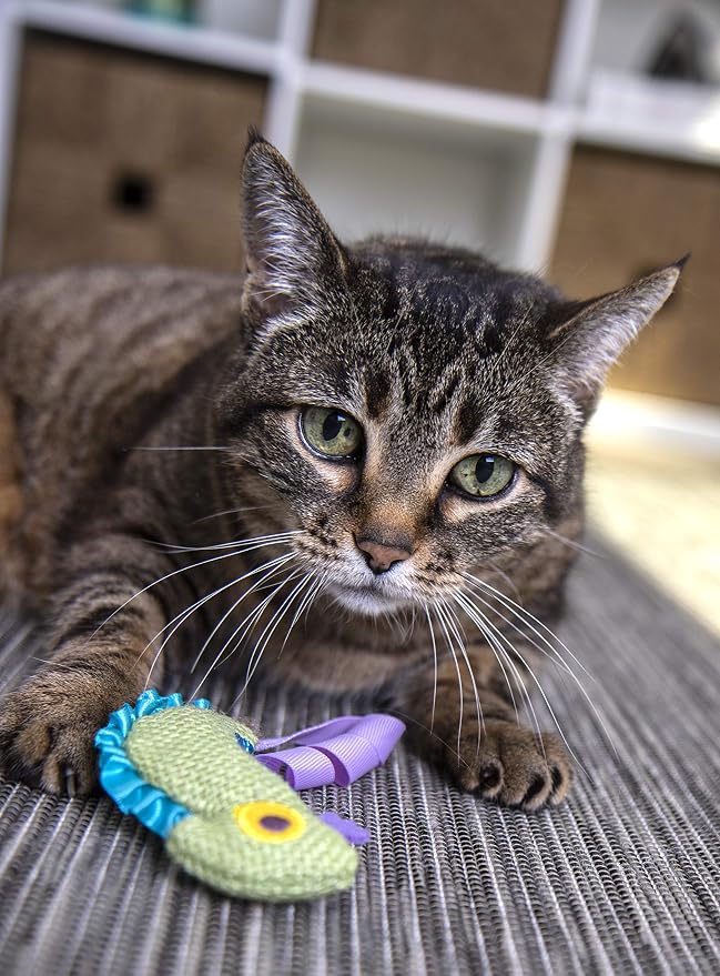 Petlinks HappyNip Crinkle Chameleon Cat Toy, Contains Silvervine & Catnip - Image 7