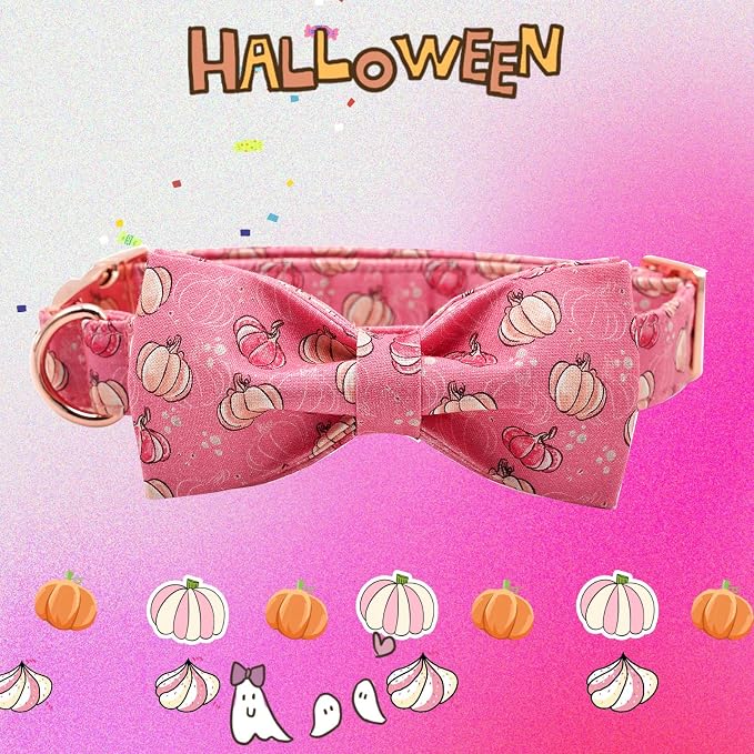 Elegant Little Tail Dog Collar - Image 3