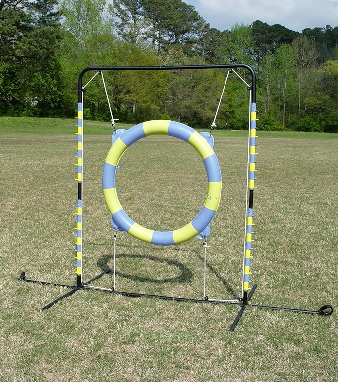 Agility Tire Jump by Unknown