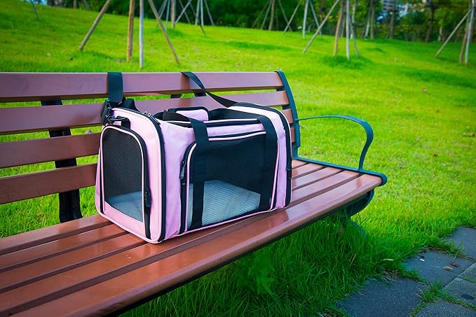 Soft Sided Carrier for Small Medium Cats Dogs, Removable Pad Collapsible Travel - Image 9