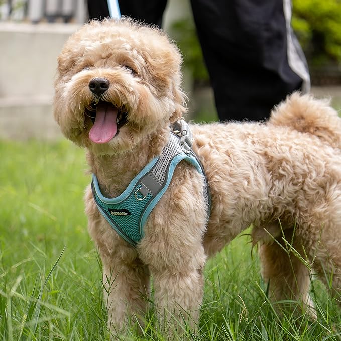 AIITLE Escape Proof Dog Harness - Image 8