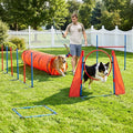 DWVO Dog Agility Accessories Kit: Comprises of a Teaser Pole, 2 Hurdles by DWVO