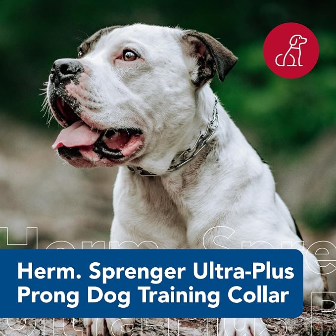 Herm SPRENGER Ultra-Plus Prong Dog Training Collar, 3.0 mm x 18" Neck Size - Image 2