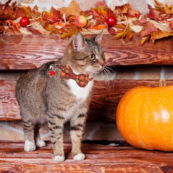 ADOGGYGO 2 Pack Fall Cat Collar - Image 2