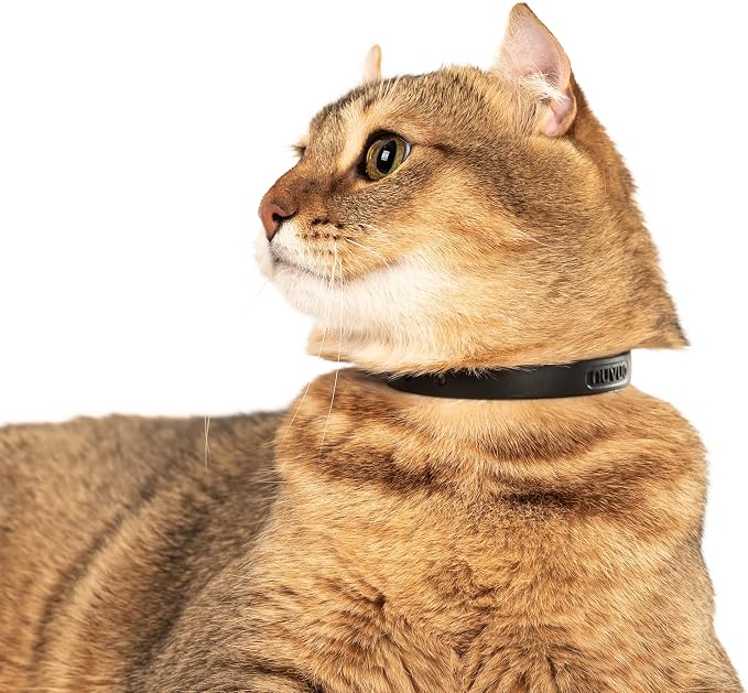 Silicone Cat Collar - Image 6
