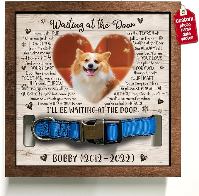 Personalized Pet Memorial Gifts Dog Memory Gifts Cat Memorial Frame Dog Died by Bfigift