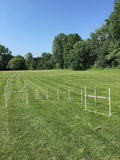 Dog Agility Training Equipment Course Set, Weave Poles, Dog Agility Jump by The+Dog+Agility+Shop%C2%AE