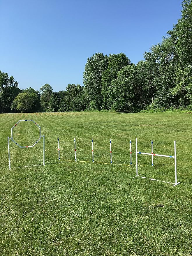 Dog Agility Training Equipment Course Set, Weave Poles, Dog Agility Jump by The+Dog+Agility+Shop%C2%AE