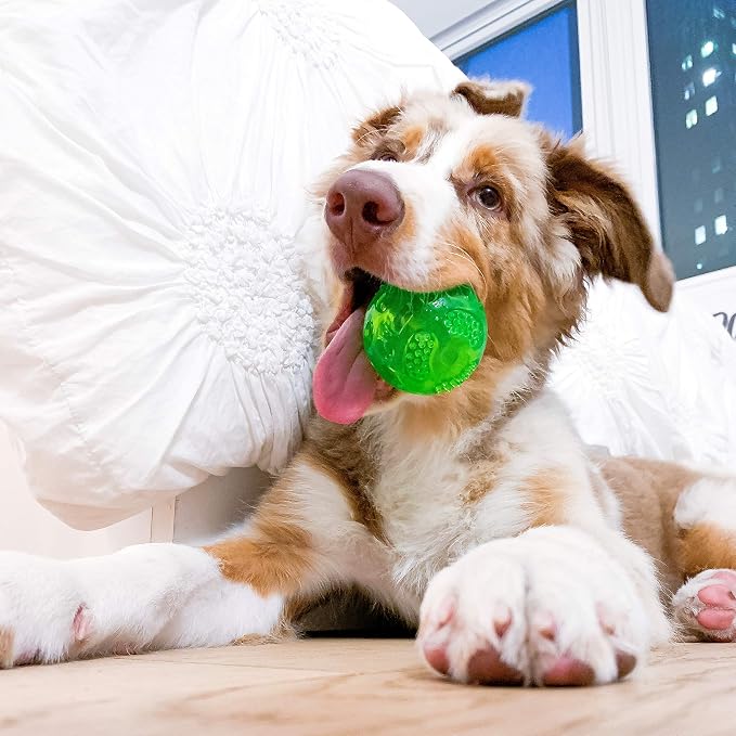 Hyper Pet DuraSqueak Dog Ball Toy, Interactive Dog Toys that Float and Squeaks - Image 2