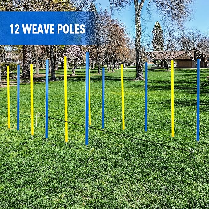 Pet Prime Dog Agility Training Equipment - Image 5