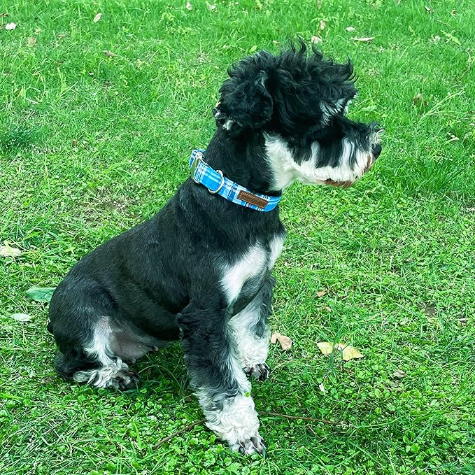 Unique style paws Dog Collar Metal Buckle Blue Plaid Collar Gift Durable Cute - Image 4