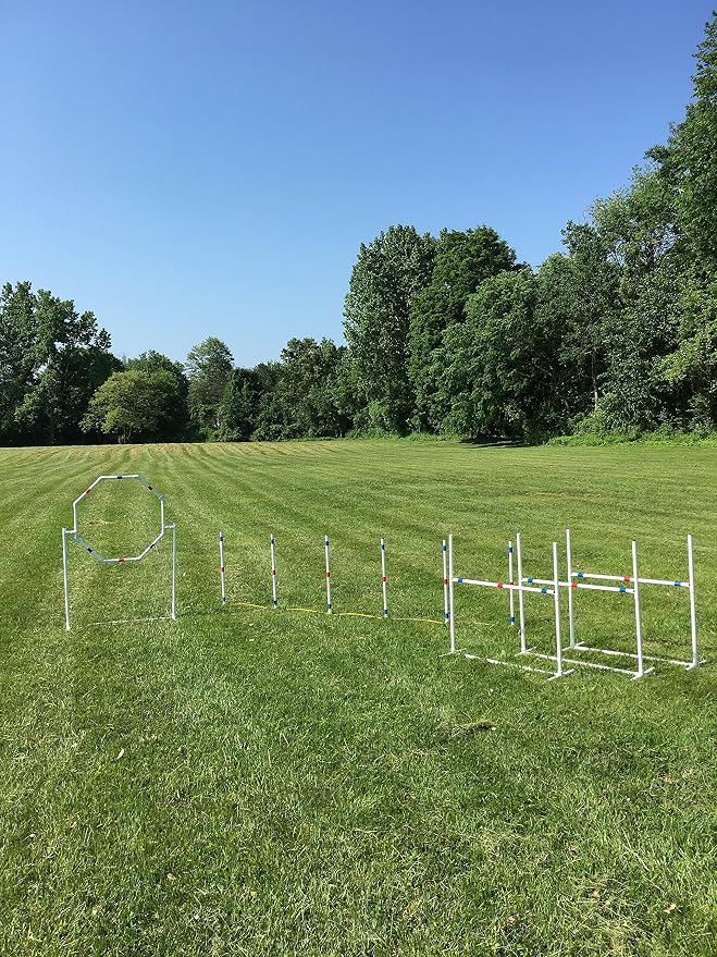 Dog Agility Equipment Deluxe Beginner Set, 3 Bar Jumps, 6 Weave Poles, 1 by The+Dog+Agility+Shop%C2%AE