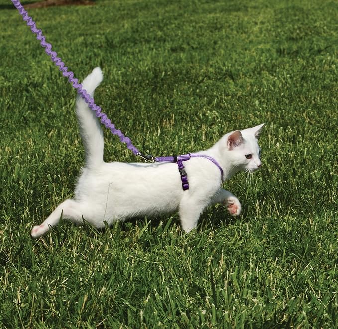 PetSafe Come With Me Kitty Cat Harness & Bungee Leash - Image 2