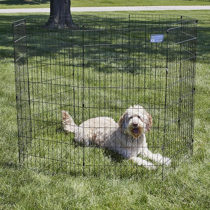 MidWest Homes for Pets Folding Metal Dog Exercise Pen, Indoor/Outdoor Playpen - Image 2